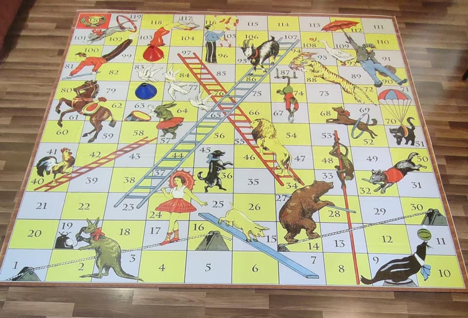 320748944_1228366578023010_5514729817935212714_n.jpg